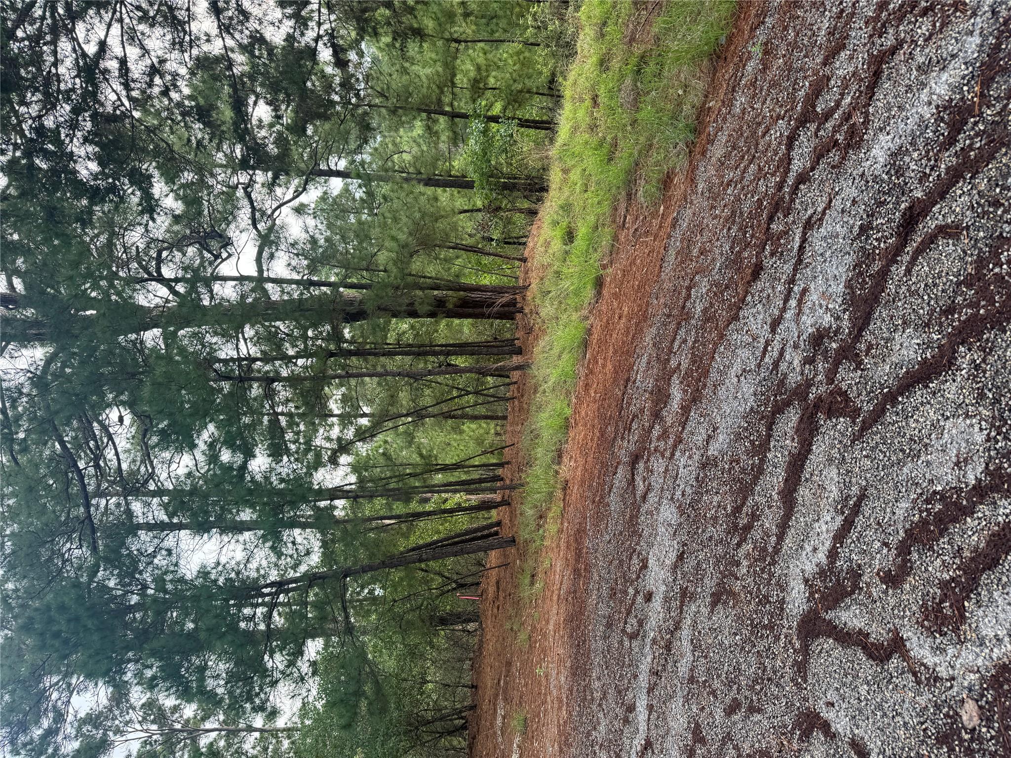Lot 1492  Haleakala None, Bastrop, TX 78602 — photo 1