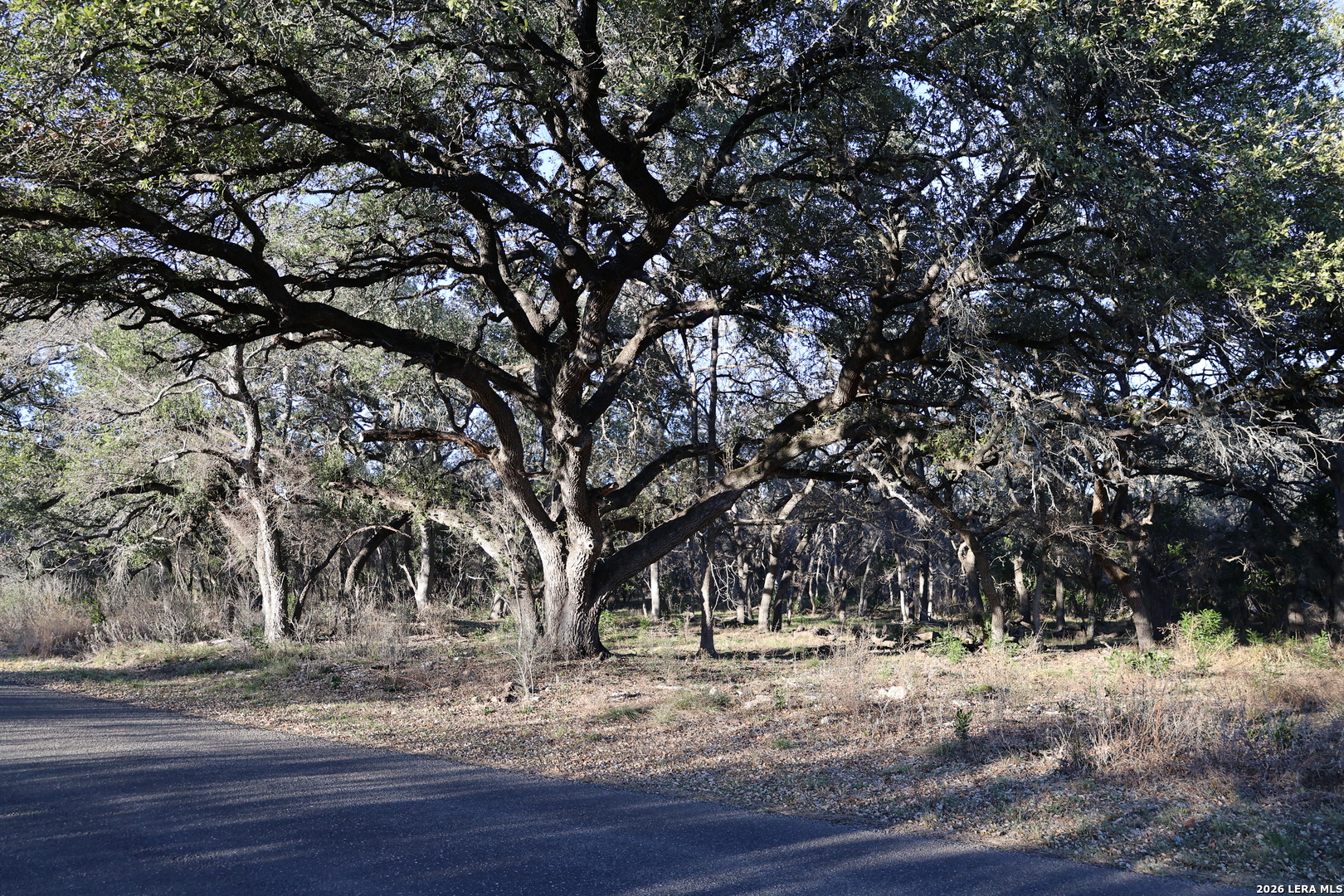 TBD County Road 241, Hondo, TX 78861 — photo 1