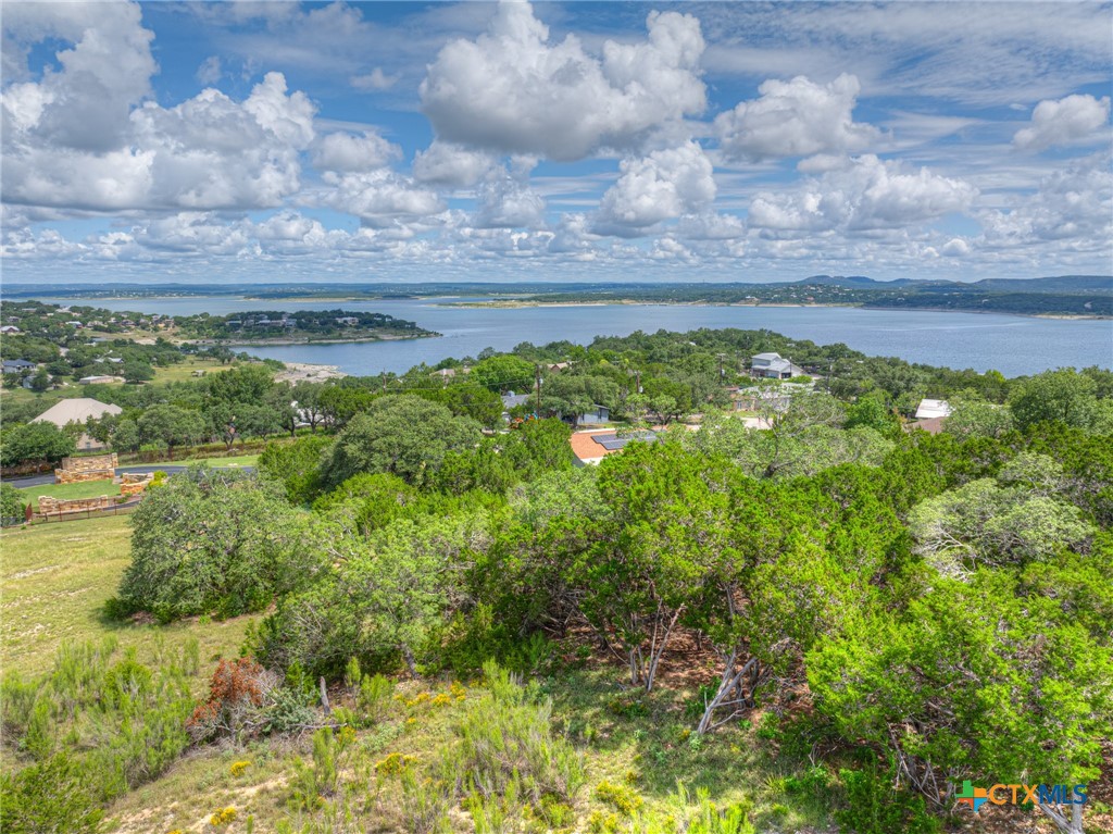 980 El Capitan Trail, Canyon Lake, TX 78133 — photo 1