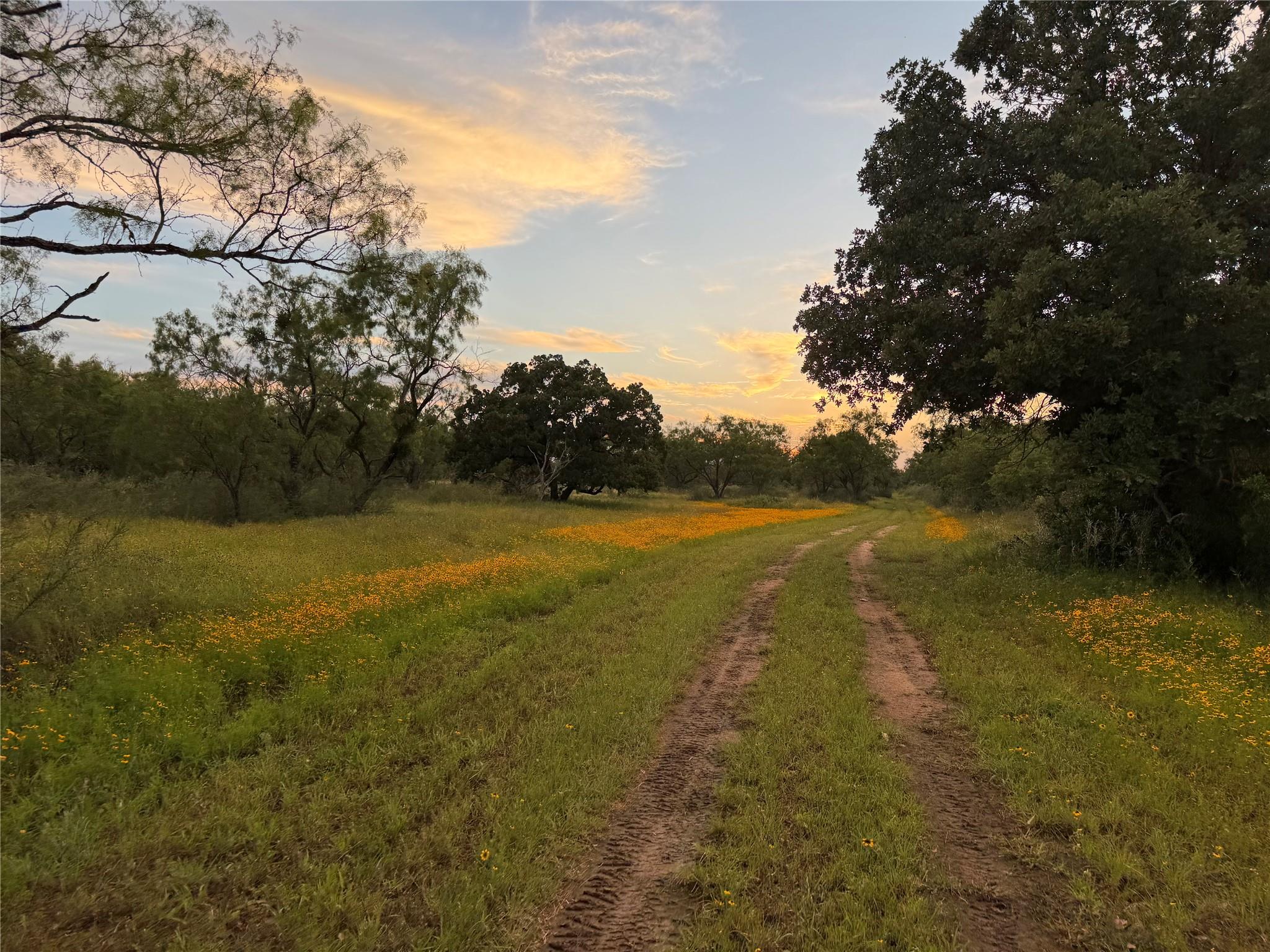 TBD FM 1980 tract 1, Marble Falls, TX 78654 — photo 1