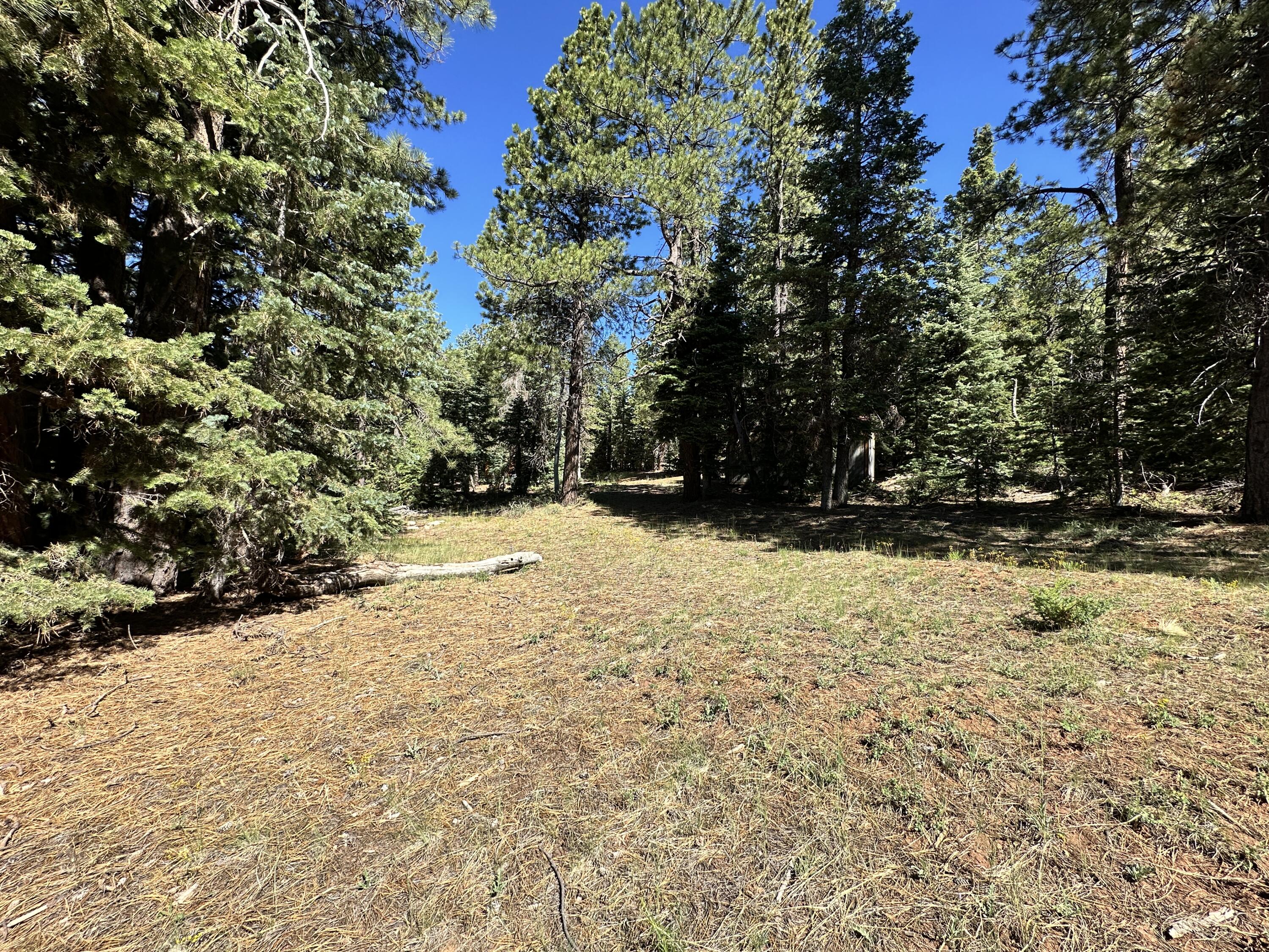 1165 W Doe Trail, Duck Creek Village, UT 84762 — photo 1