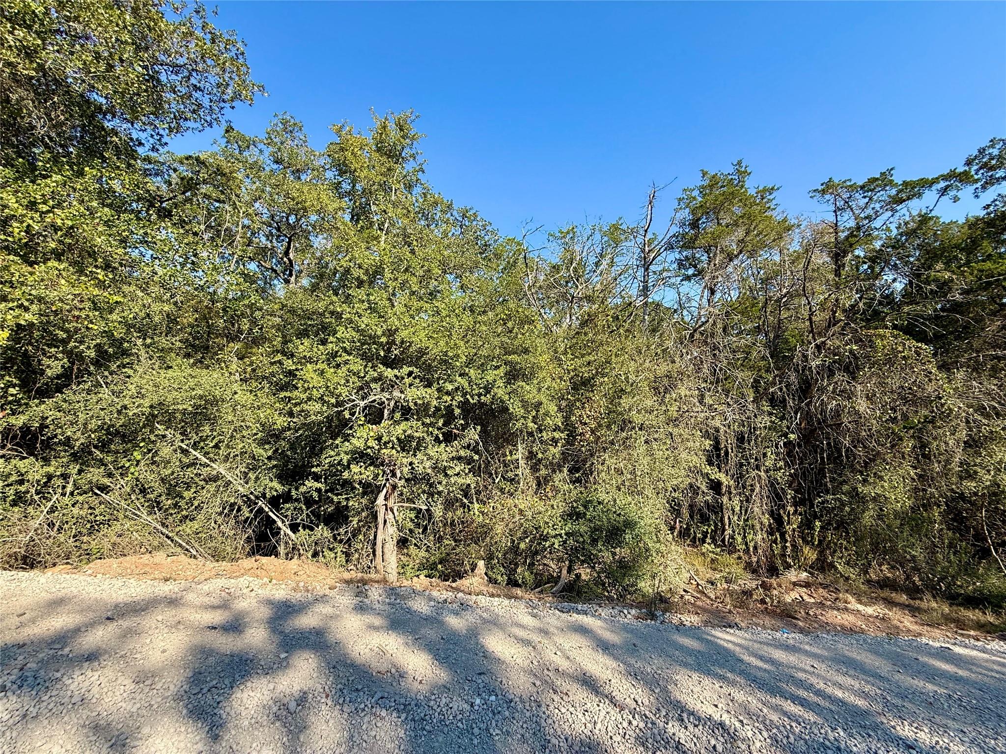 TBD Lot 1233 Hanauma, Bastrop, TX 78602 — photo 1