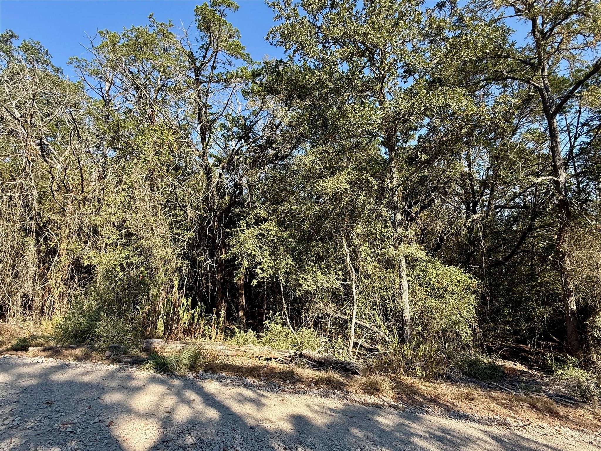 TBD Lot 1232 Hanauma, Bastrop, TX 78602 — photo 1