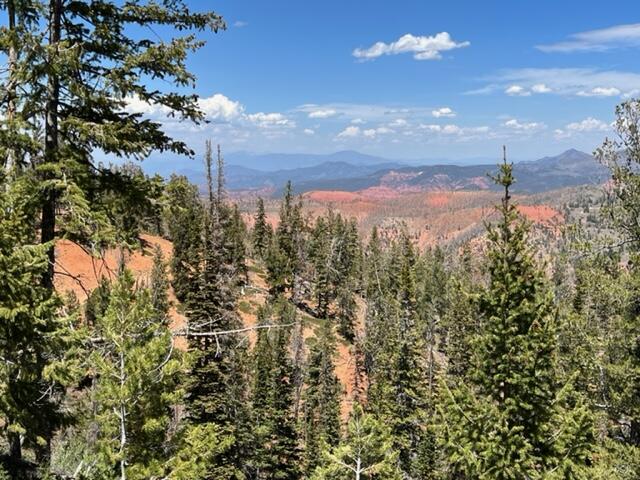1028 N Aspen DR, Brian Head, UT 84719 — photo 1