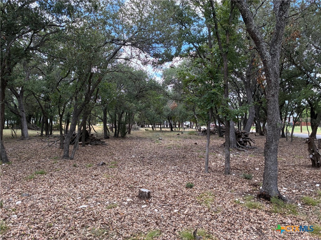2220 Tye Valley Road, Harker Heights, TX 76548 — photo 1