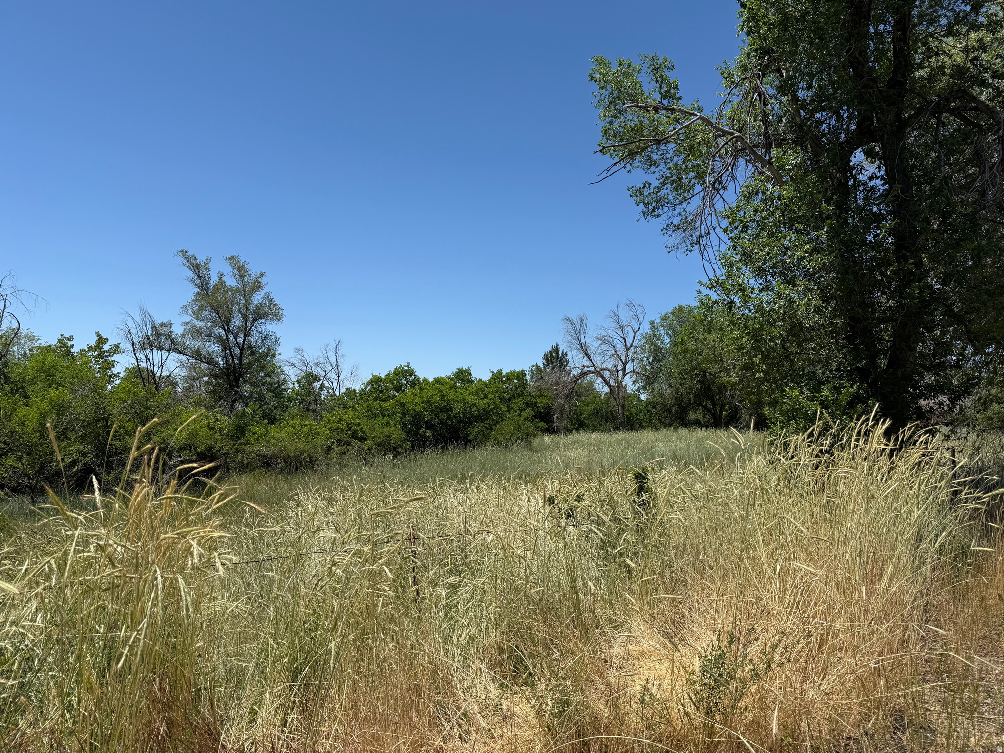 1792  VALLEY VIEW DR, Layton, UT 84041 — photo 1