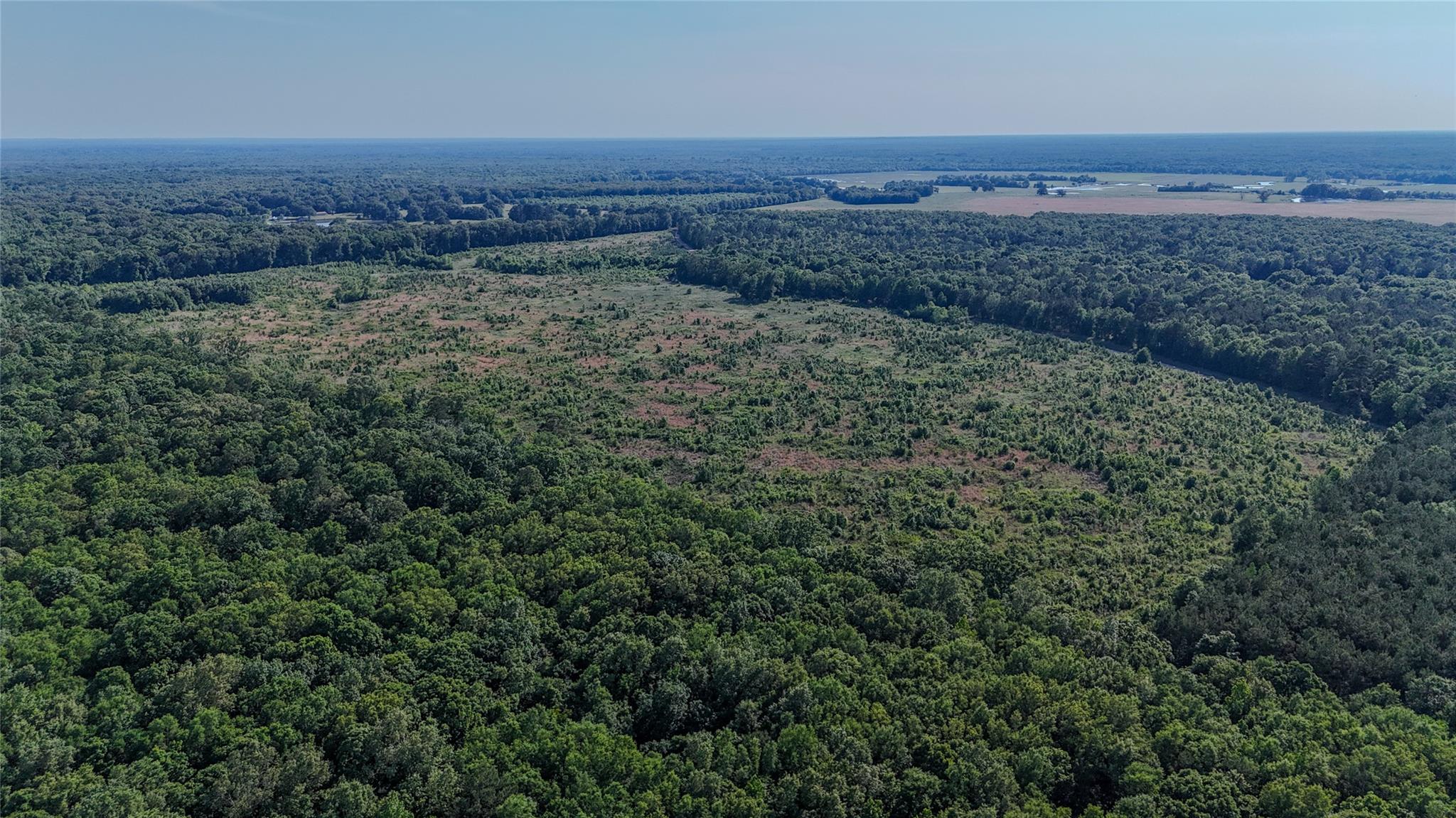CR 4621 County Road 4621, Clarksville, TX 75550 — photo 1