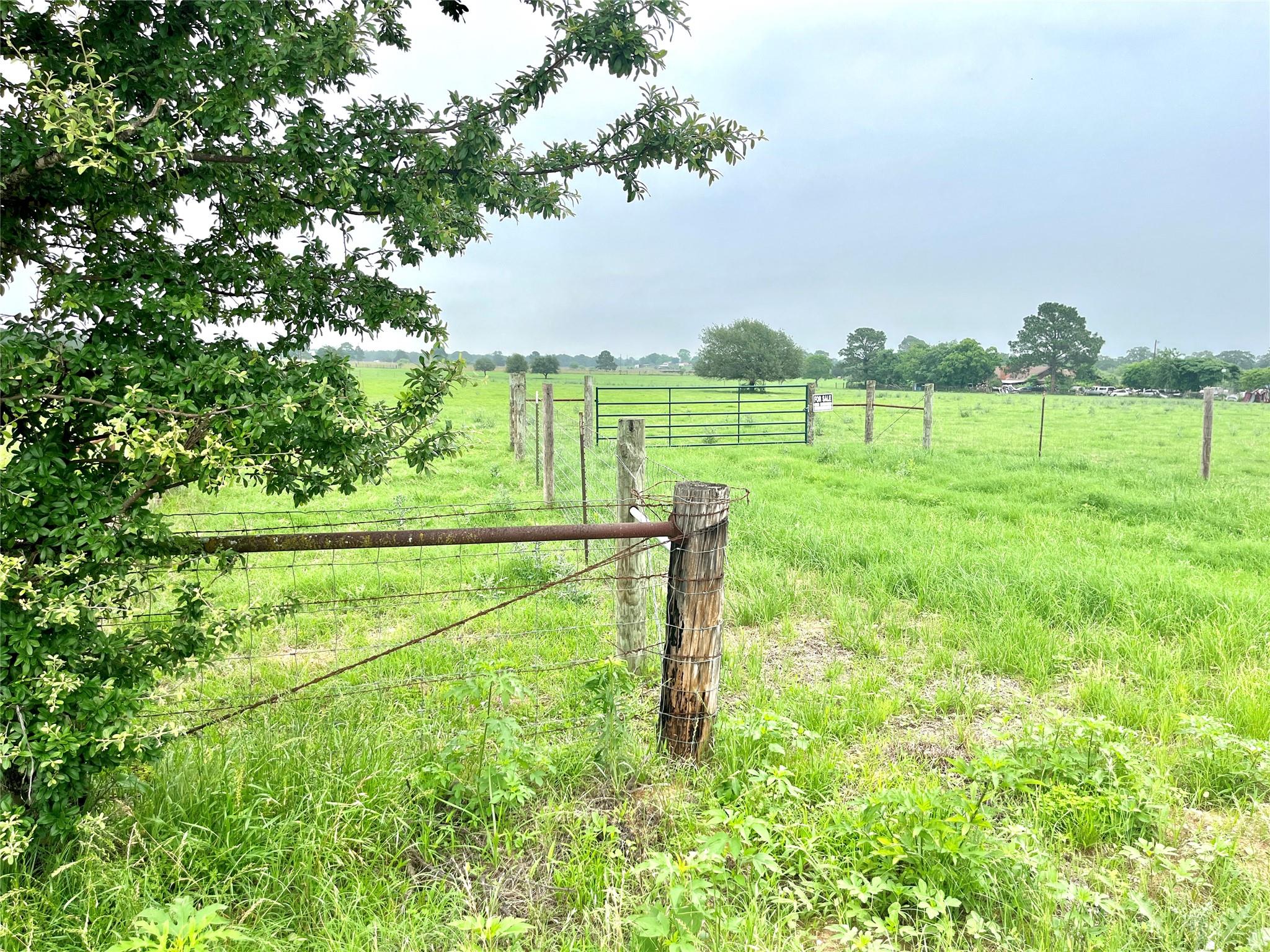 5.556 acres Farris Lane, Smithville, TX 78957 — photo 1