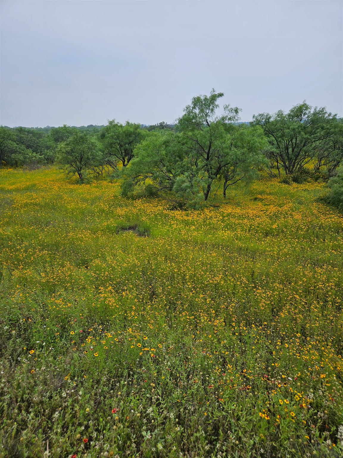 6990 County Road 246, Richland Springs, TX 76871 — photo 1