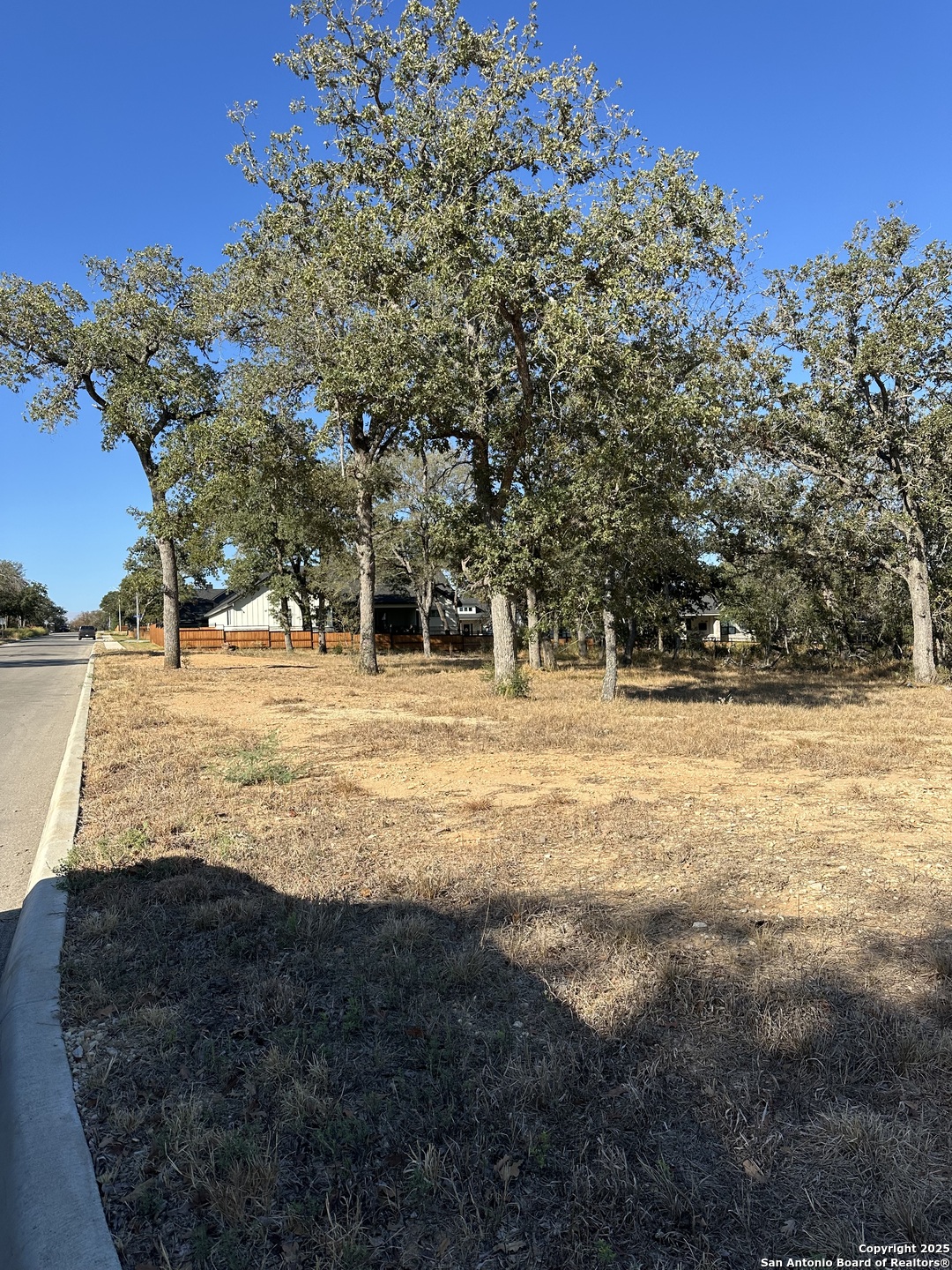 132 Chinaberry Hill, ,  78121 — photo 1
