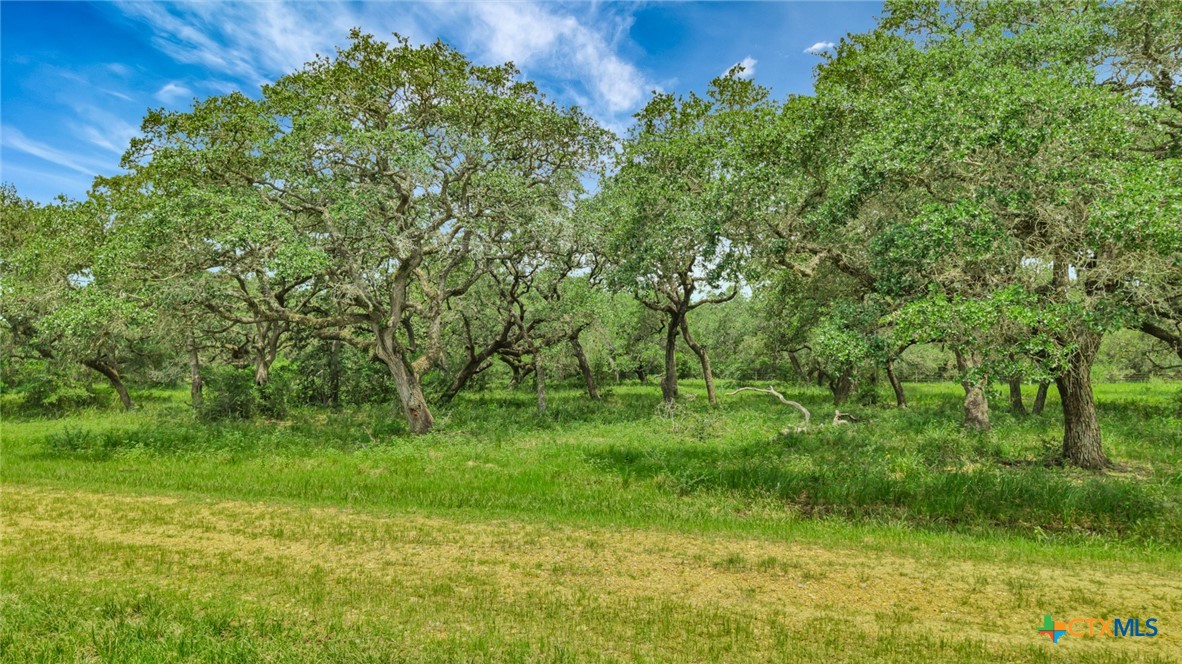 000 Fm 444, Inez, TX 77968 — photo 1