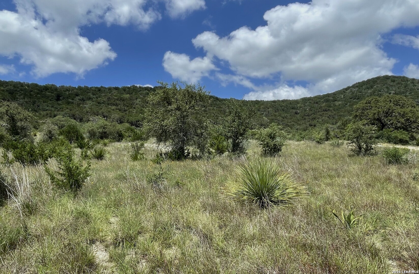 LOT 12 Walden Ridge, ,  78003 — photo 1