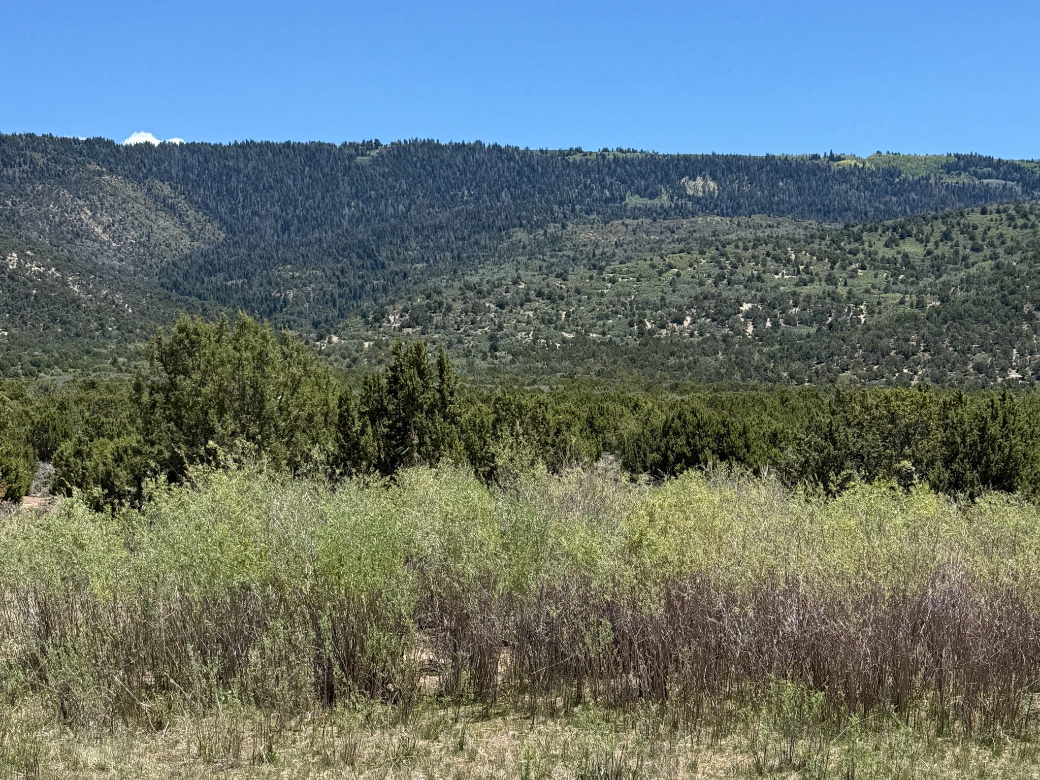 10  E HOLLOW RD, Spring City, UT 84662 — photo 1