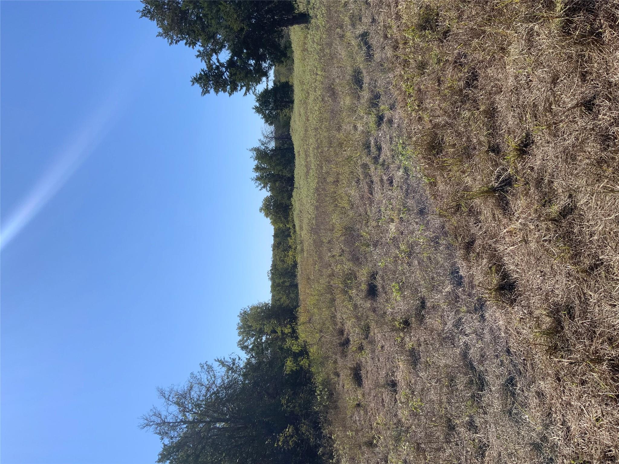 000 County Road 304, Lexington, TX 78947 — photo 1