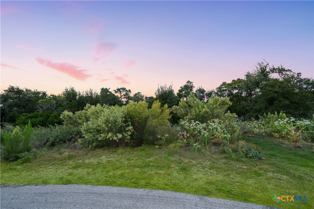 287 Brook Canyon, New Braunfels, TX 78132 — photo 1