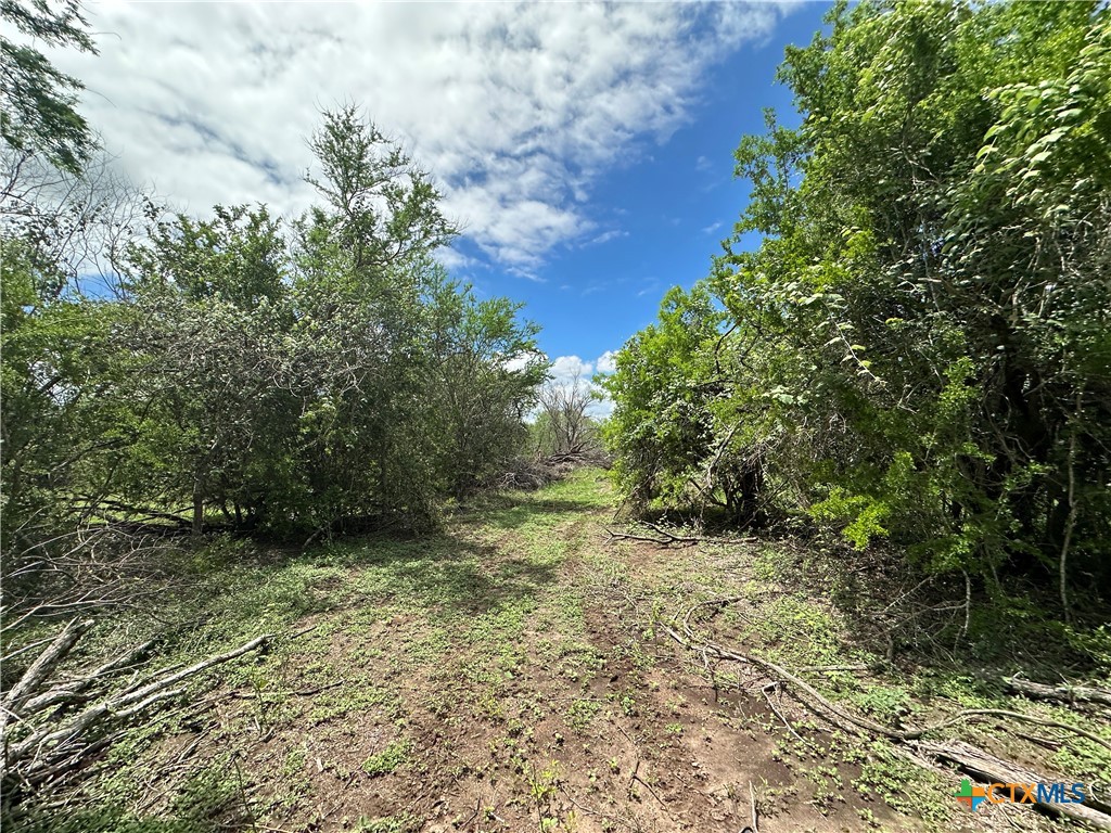 9 Burlin Lane, Meyersville, TX 77974 — photo 1