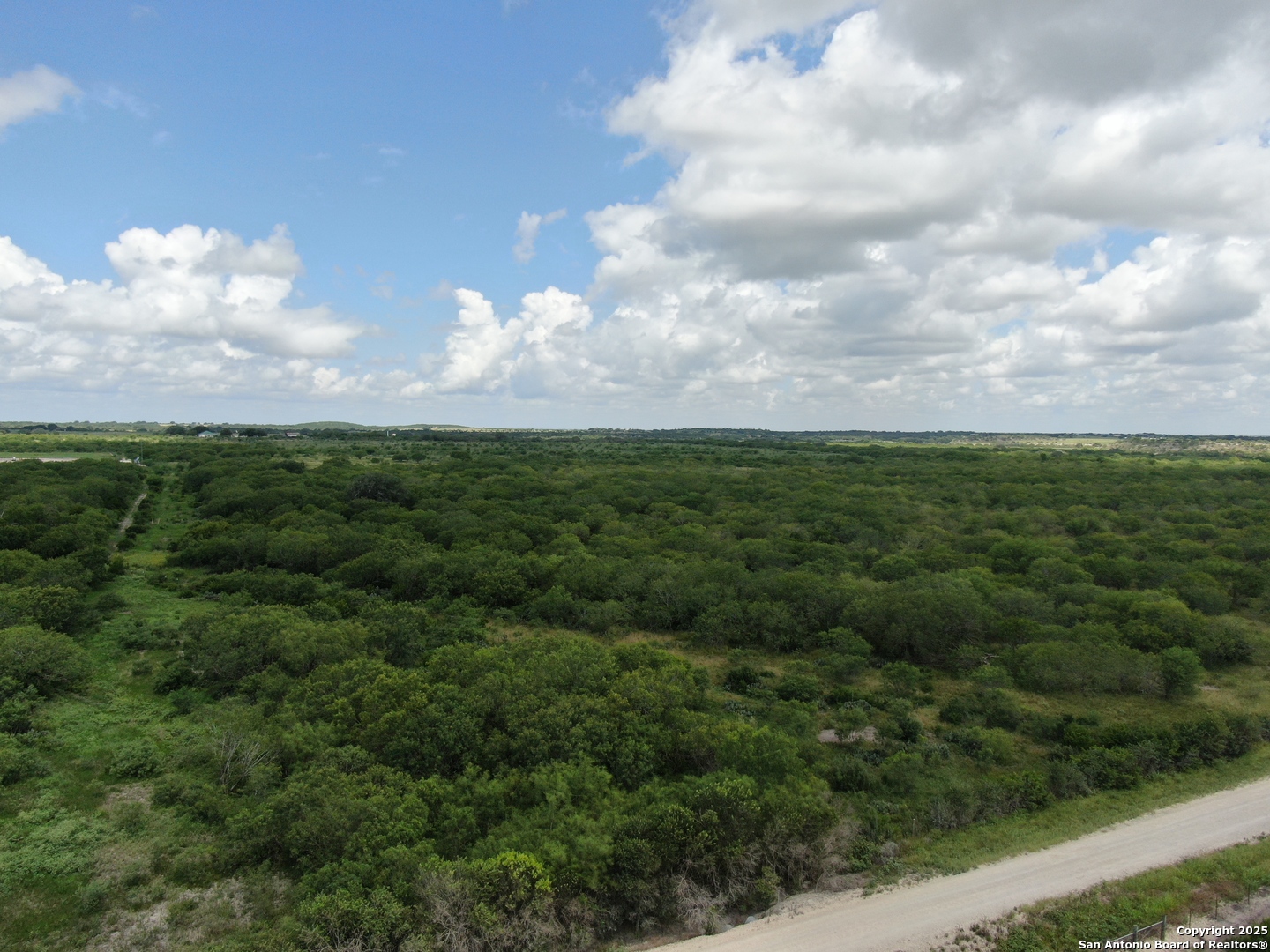 TRACT 7 TBD CR 208, ,  78117 — photo 1
