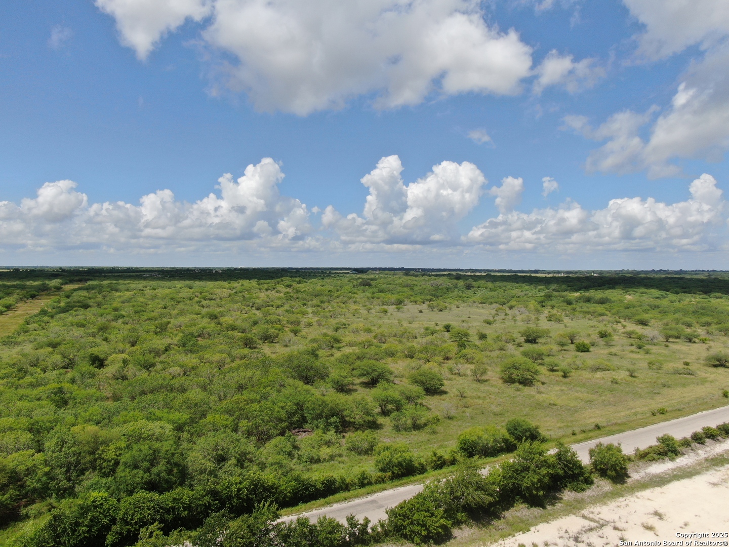 TRACT 7 TBD CR 208, Hobson, TX 78117 — photo 1