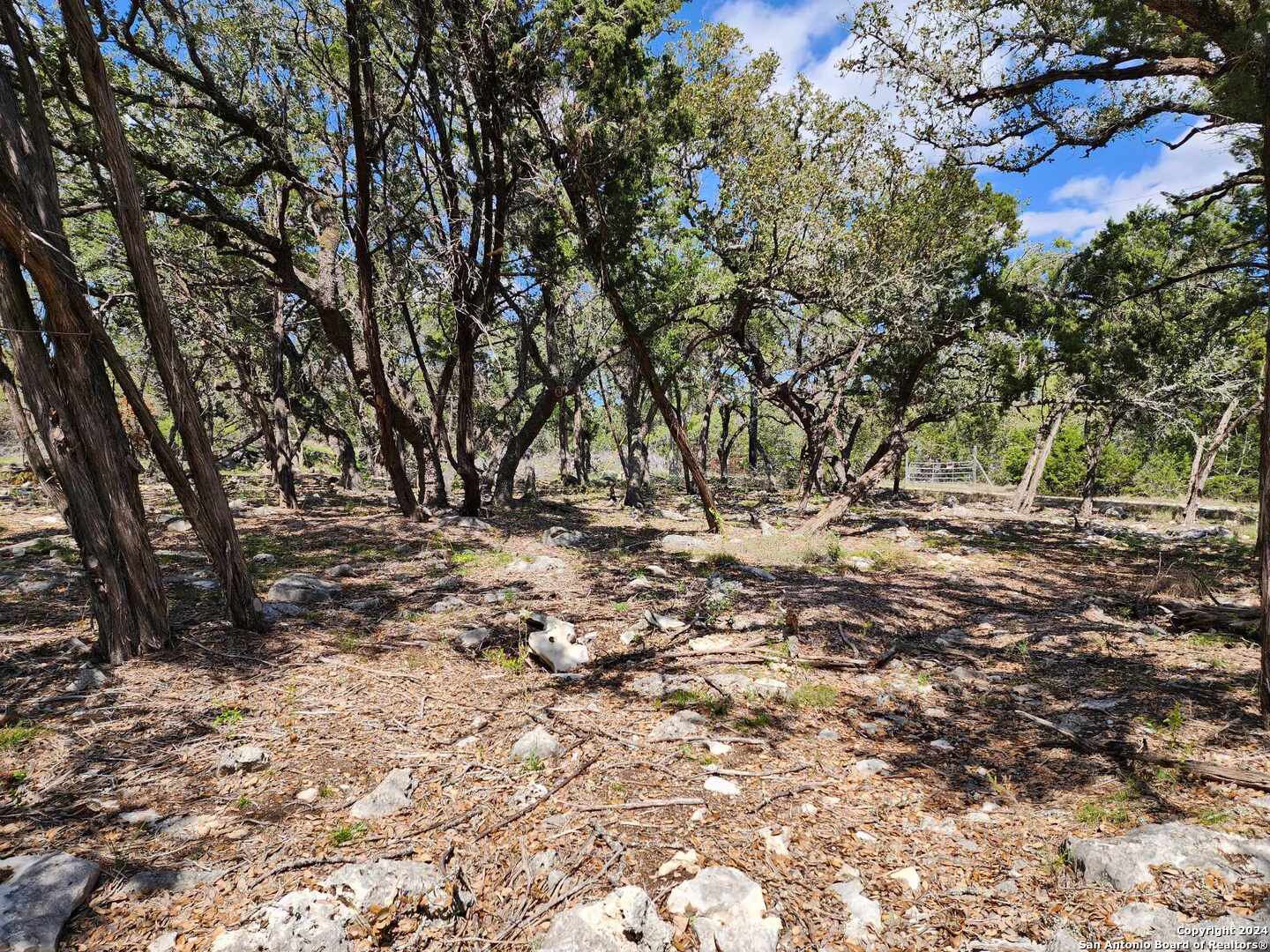LOT 19 Forest Lake Dr, ,  78070 — photo 1