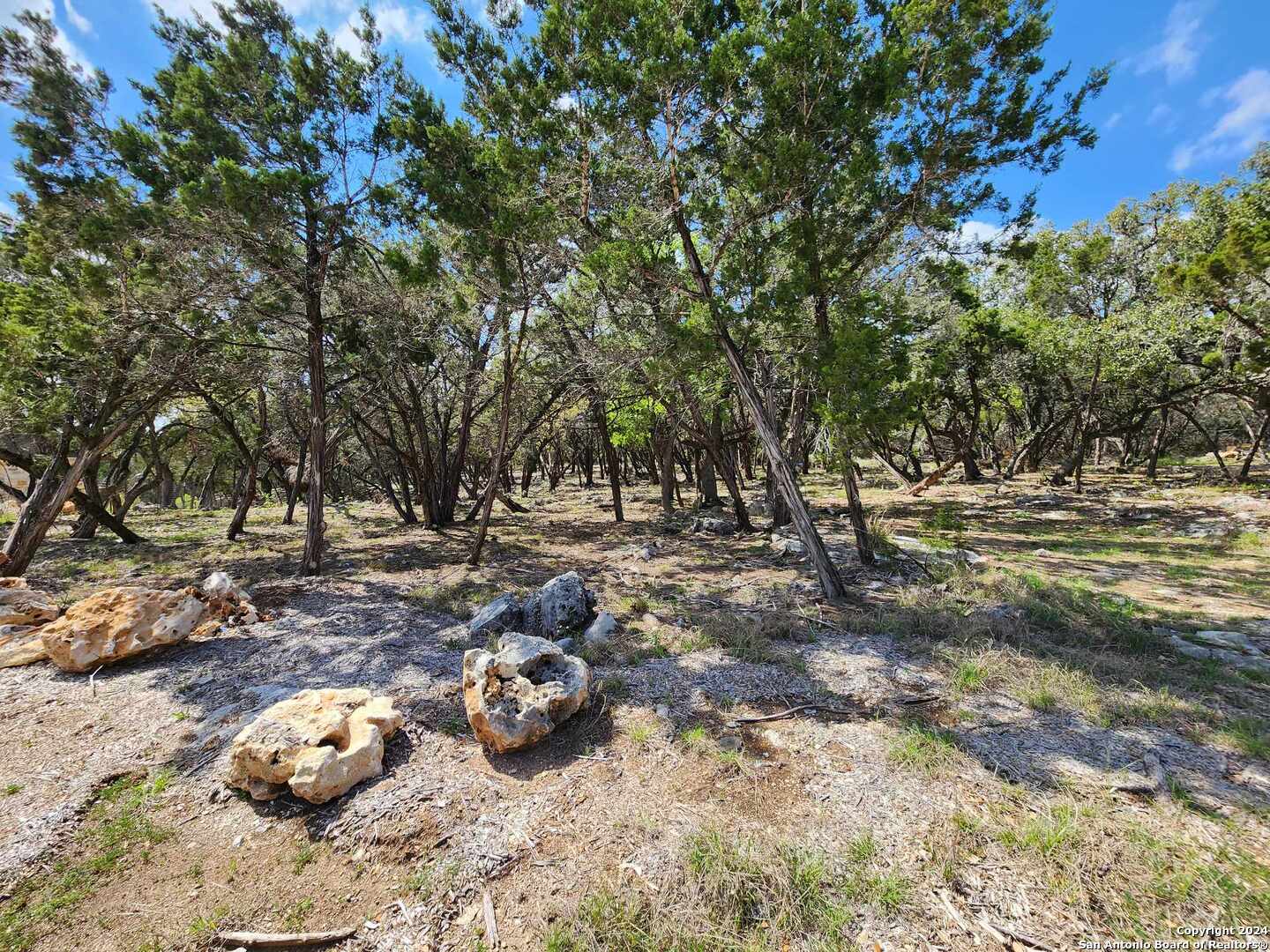 LOT 19 Forest Lake Dr, Spring Branch, TX 78070 — photo 1