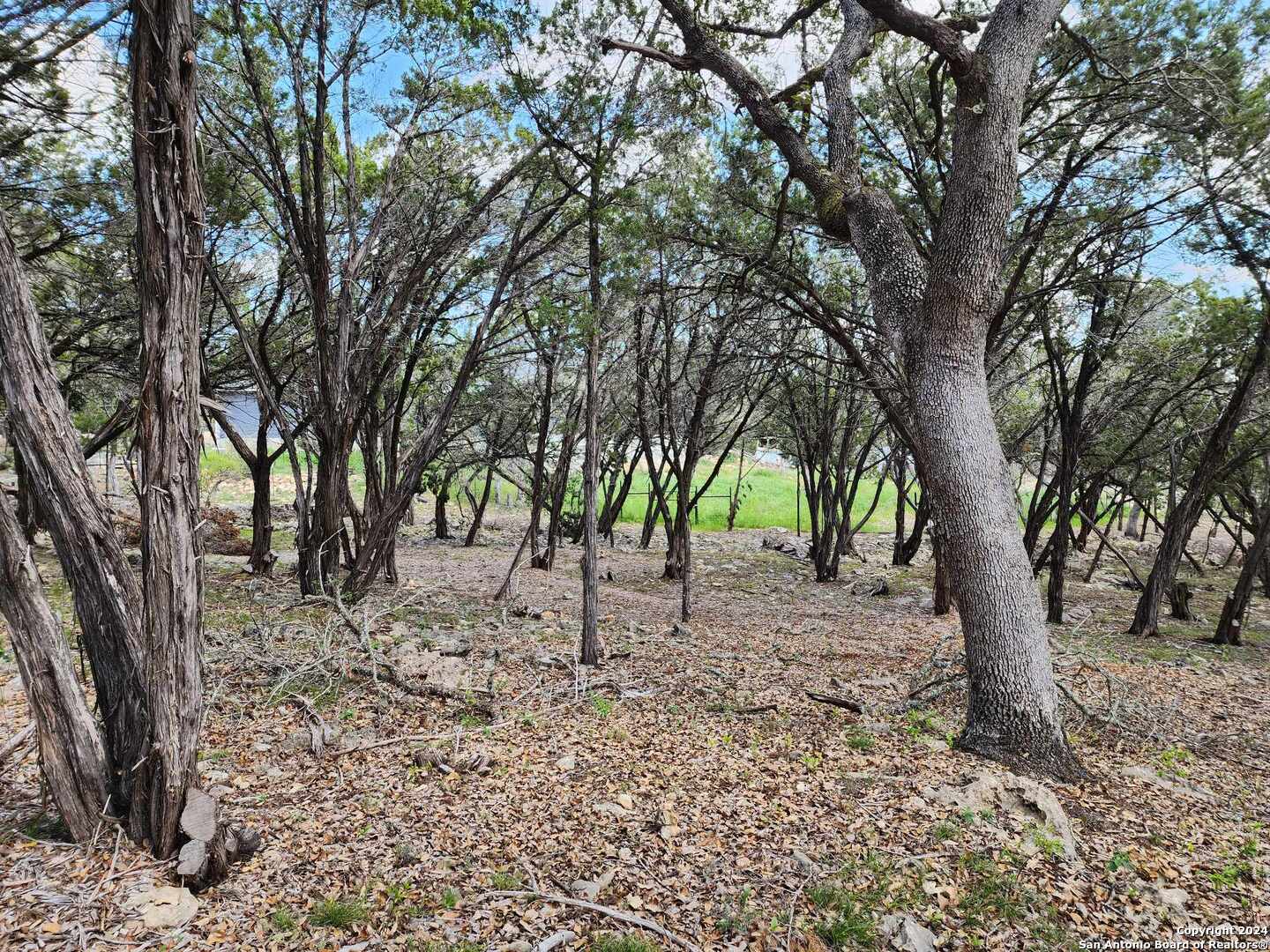 LOT 18 Forest Lake Dr, ,  78070 — photo 1