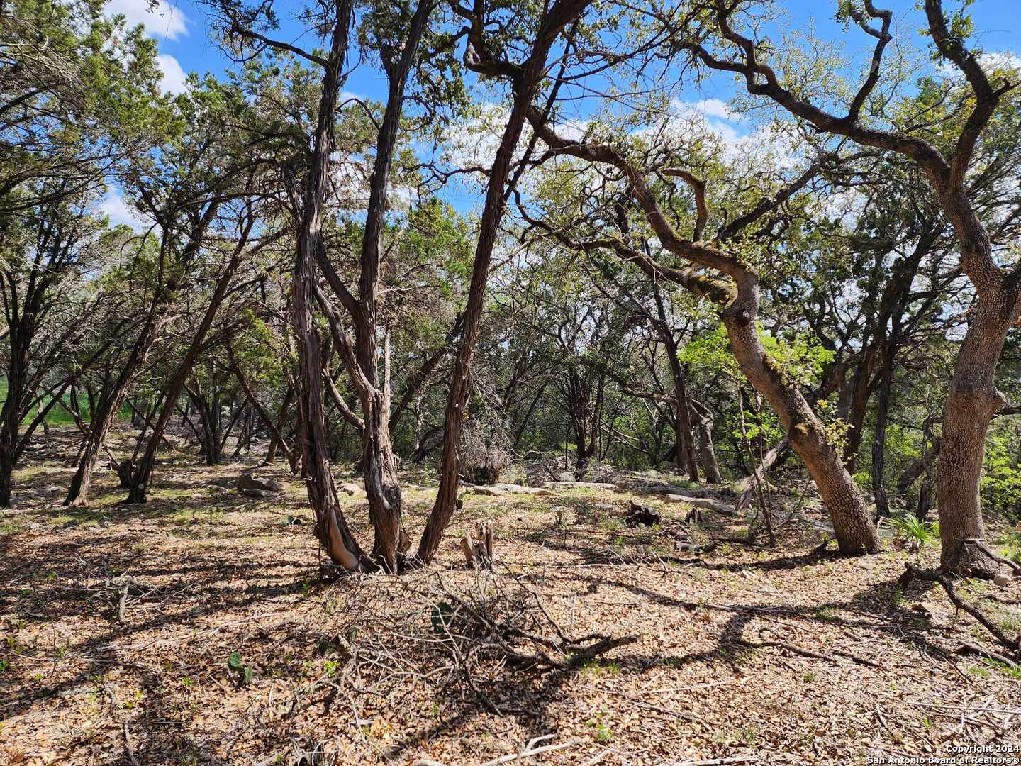 LOT 18 Forest Lake Dr, Spring Branch, TX 78070 — photo 1