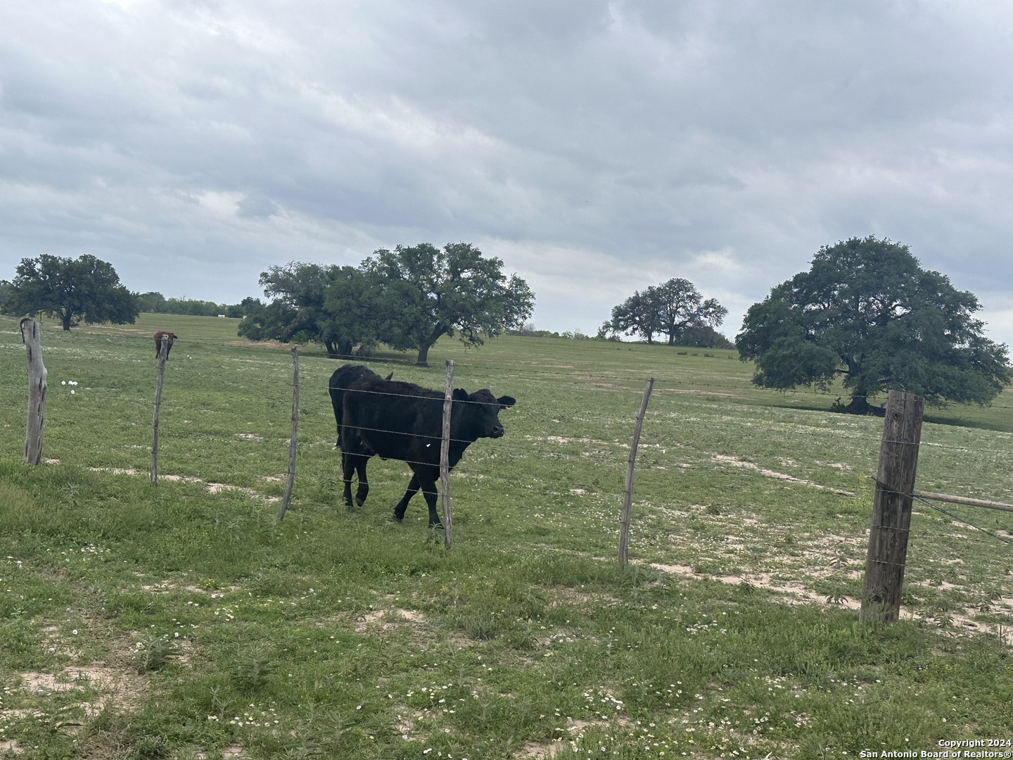 TBD (TR 5) W Gates Valley Rd, ,  78065 — photo 1
