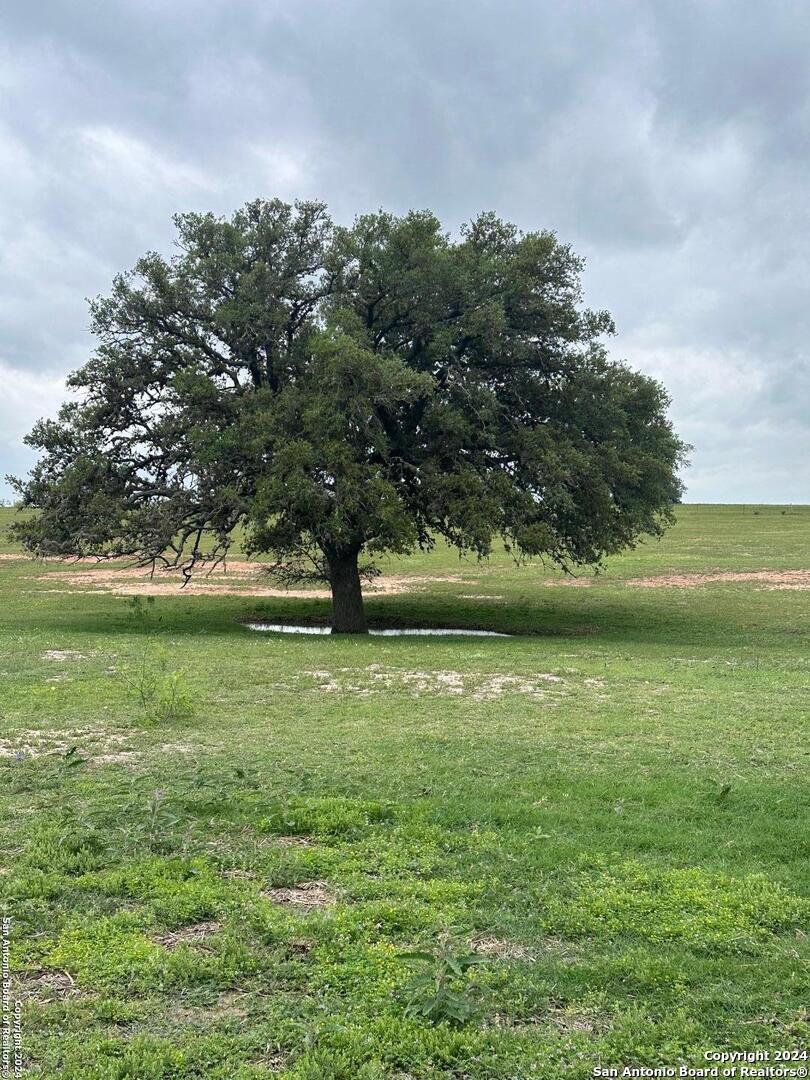 TBD (TR 4) W Gates Valley RD, Poteet, TX 78065 — photo 1