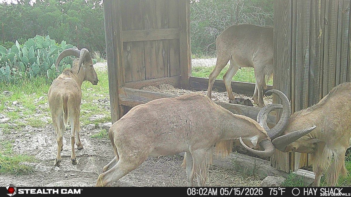 1457 Private Road 3426, ,  78828 — photo 1
