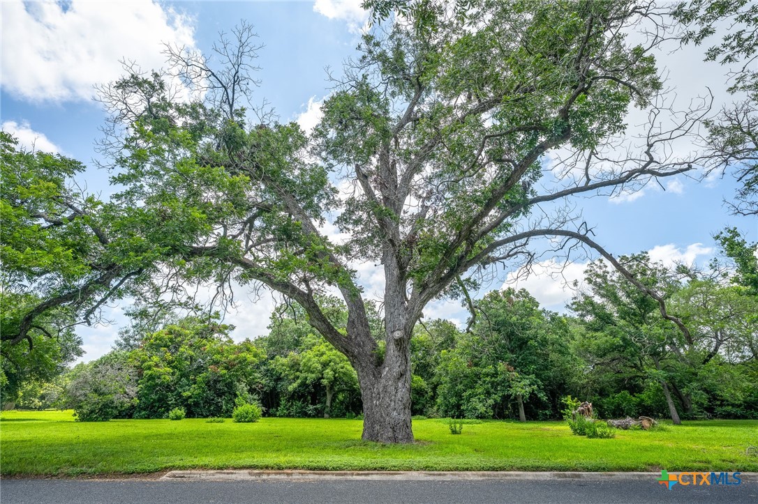 24 Glen Cove Drive, Seguin, TX 78155 — photo 1