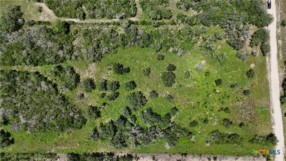 TBD FM 1351, Goliad, TX 77963 — photo 1