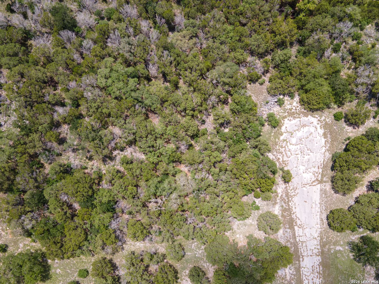 LOT K1079 White Tail, , 78657 — photo 1