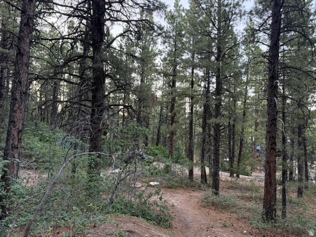 137 N KOLOB PNE