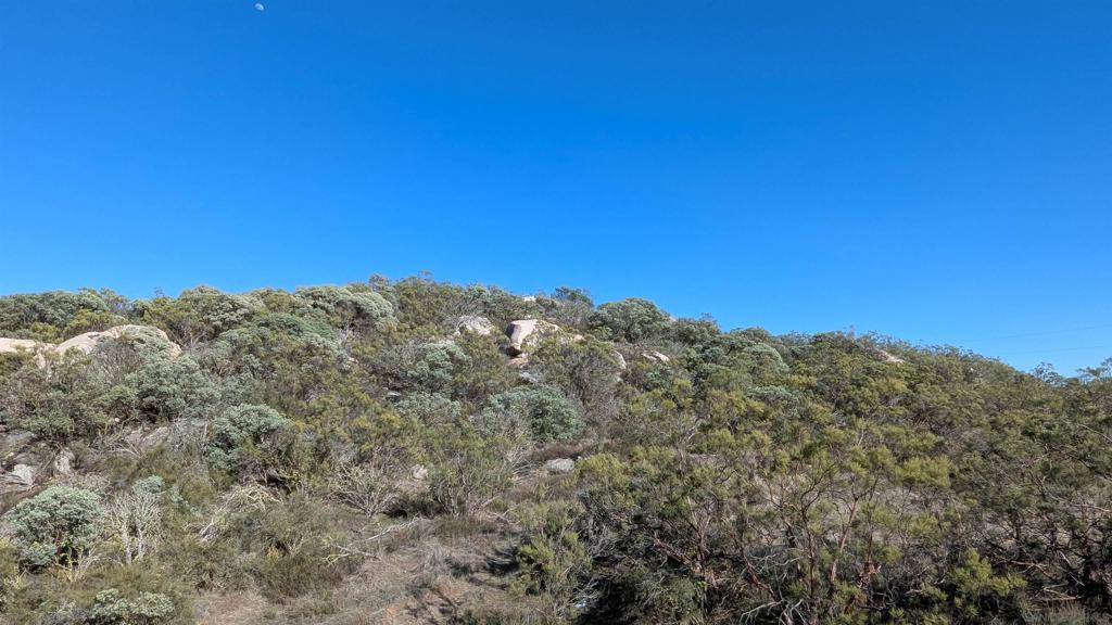 778 Crazy Horse Canyon, Aguanga, CA 92536 — photo 1