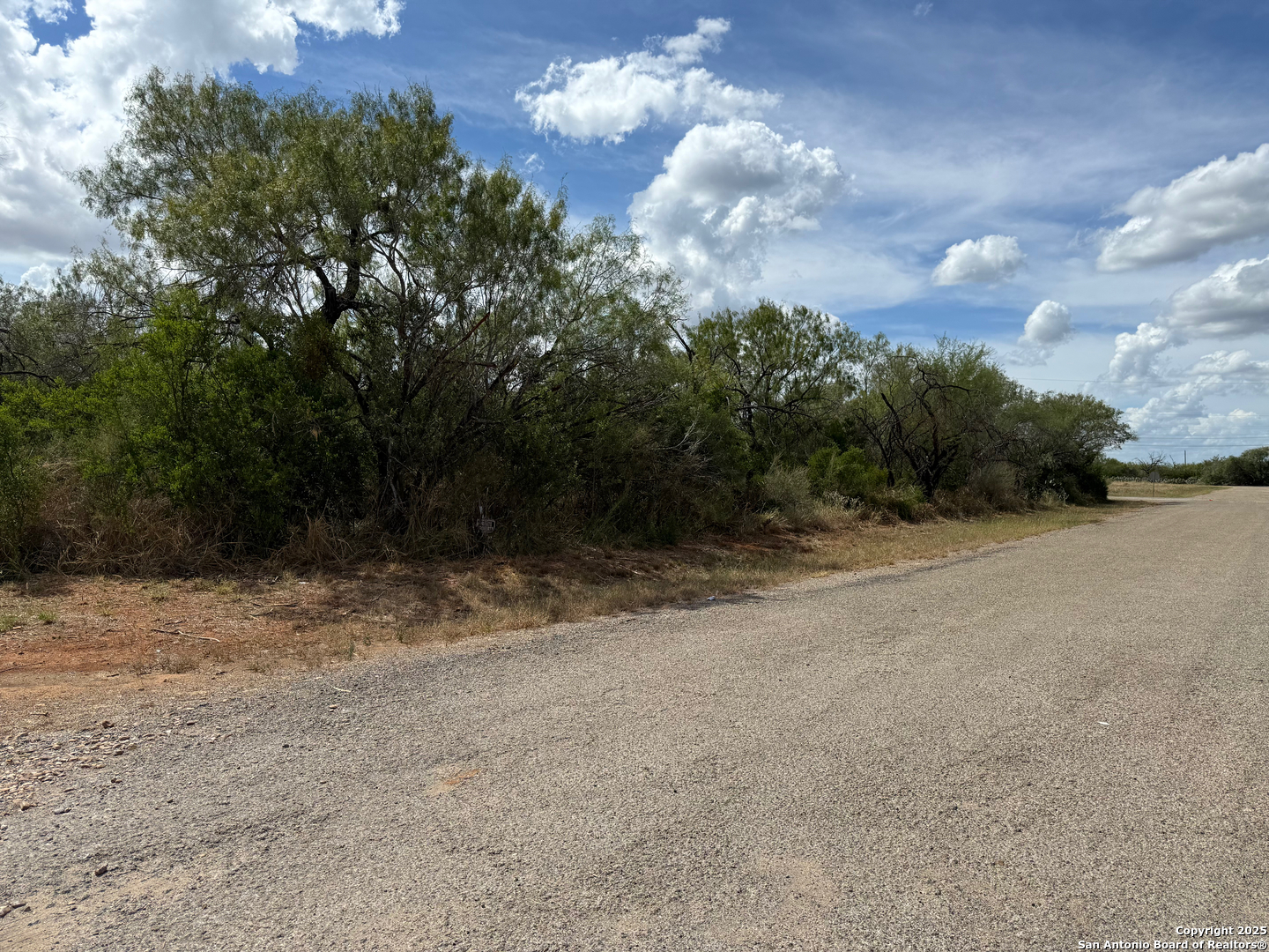 220 County Road 4402, ,  78017 — photo 1