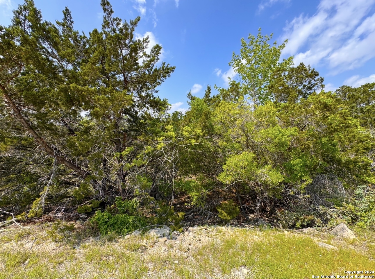 985 OBLATE DR, Canyon Lake, TX 78133 — photo 1