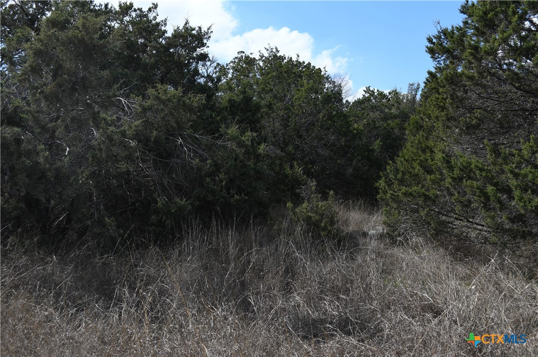 979 & 987 Deer Valley Pass, Spring Branch, TX 78070 — photo 1