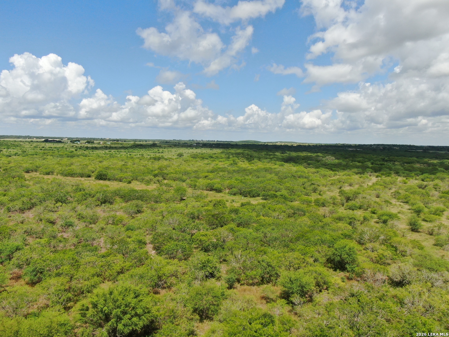 TBD LOT 6 CR 208, Hobson, TX 78117 — photo 1