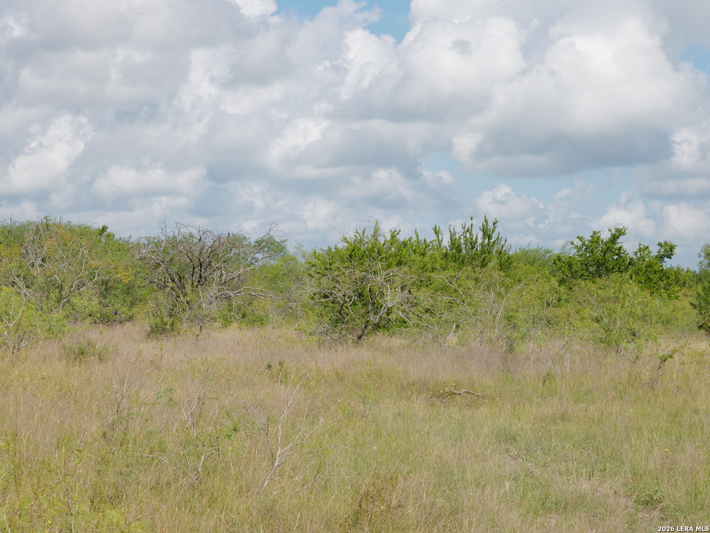 TBD LOT 5 CR 208, , 78117 — photo 1