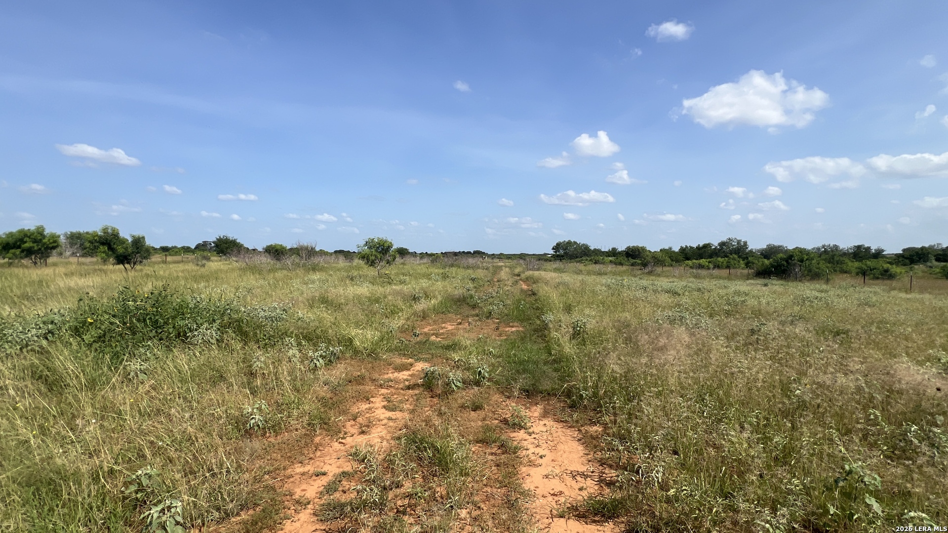 4167 County Road 136, Floresville, TX 78114 — photo 1