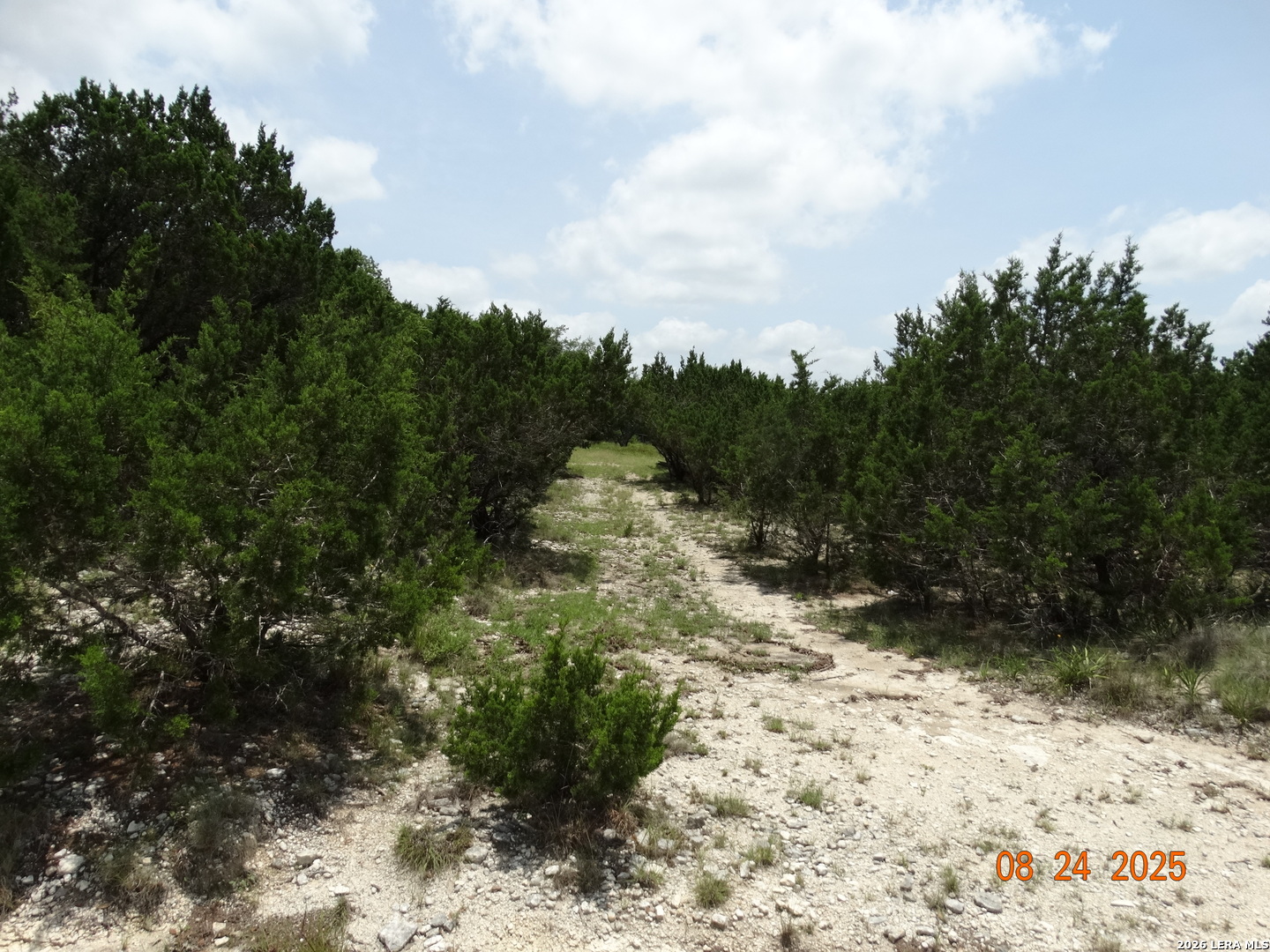9942 Circle Hill, San Antonio, TX 78255 — photo 1