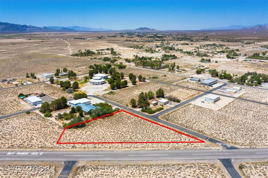 699  Capri Avenue, Sandy Valley, NV 89019 — photo 1