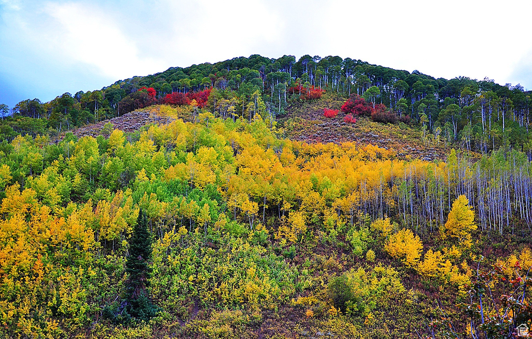 MIDDLE FORK  / PINE CANYON RD RD, Huntsville, UT 84317 — photo 1