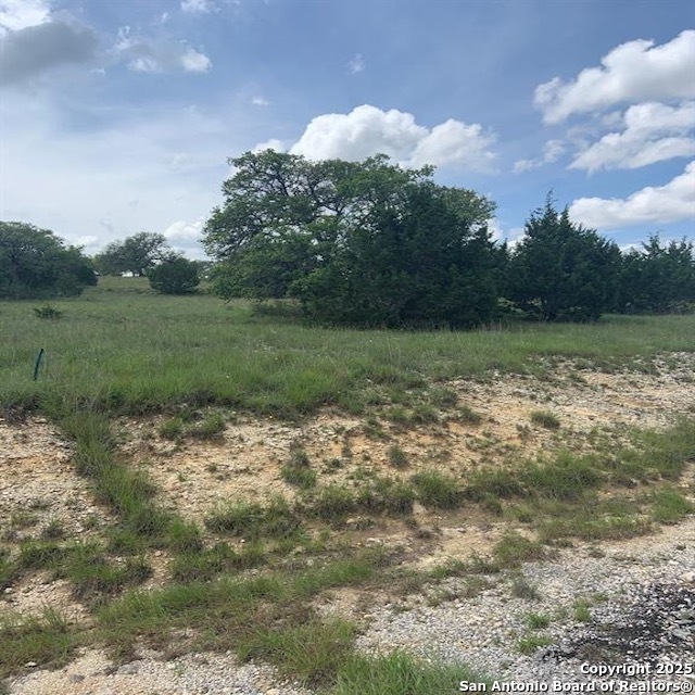 102 William Tobin, ,  78606 — photo 1