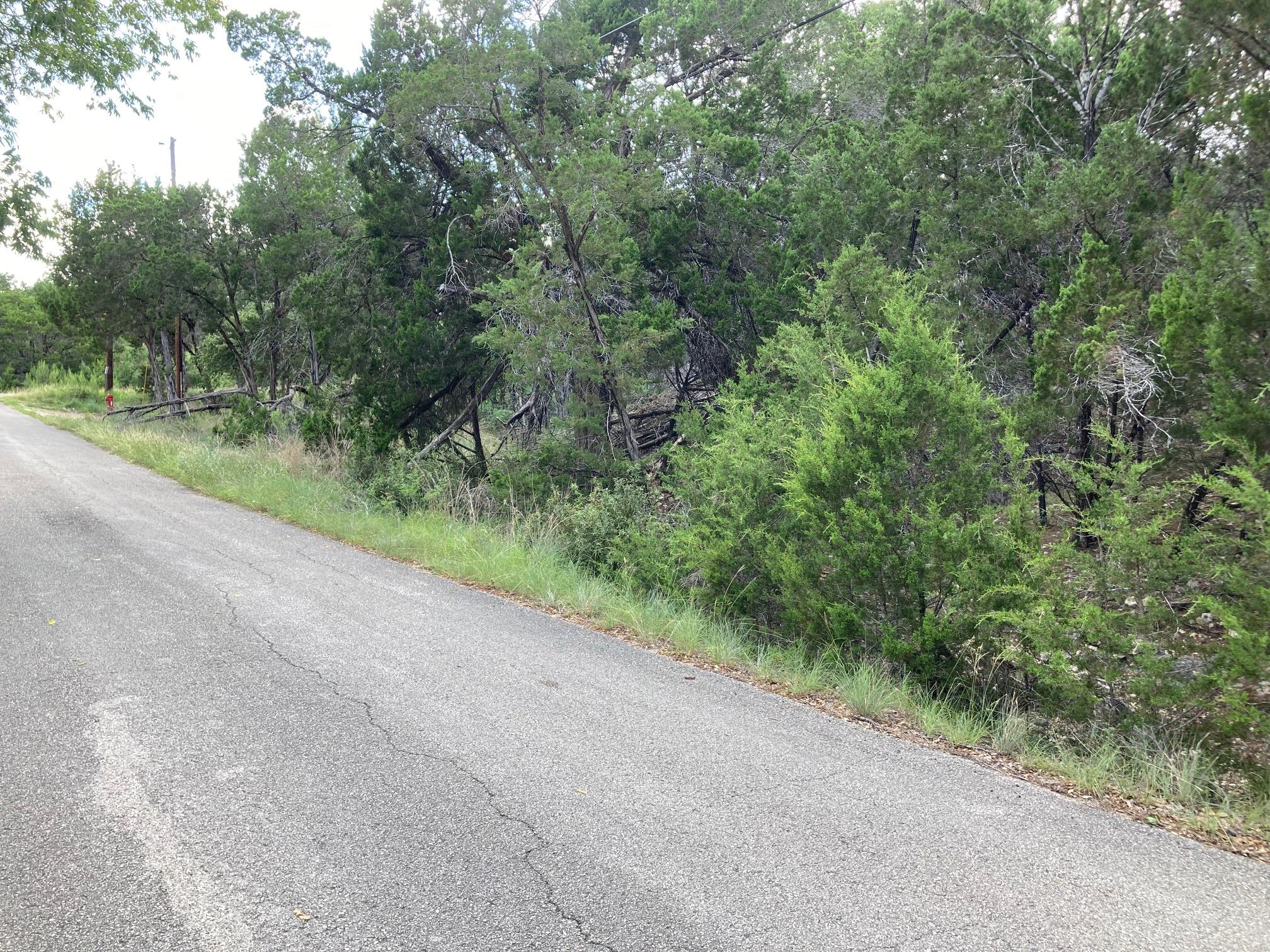 21305 Mount View, Lago Vista, TX 78645 — photo 1