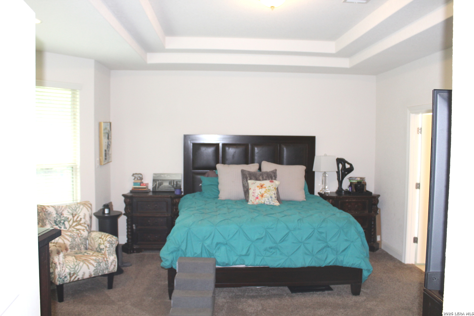 8223 Scarlet Gaura, , 78015 — photo 1