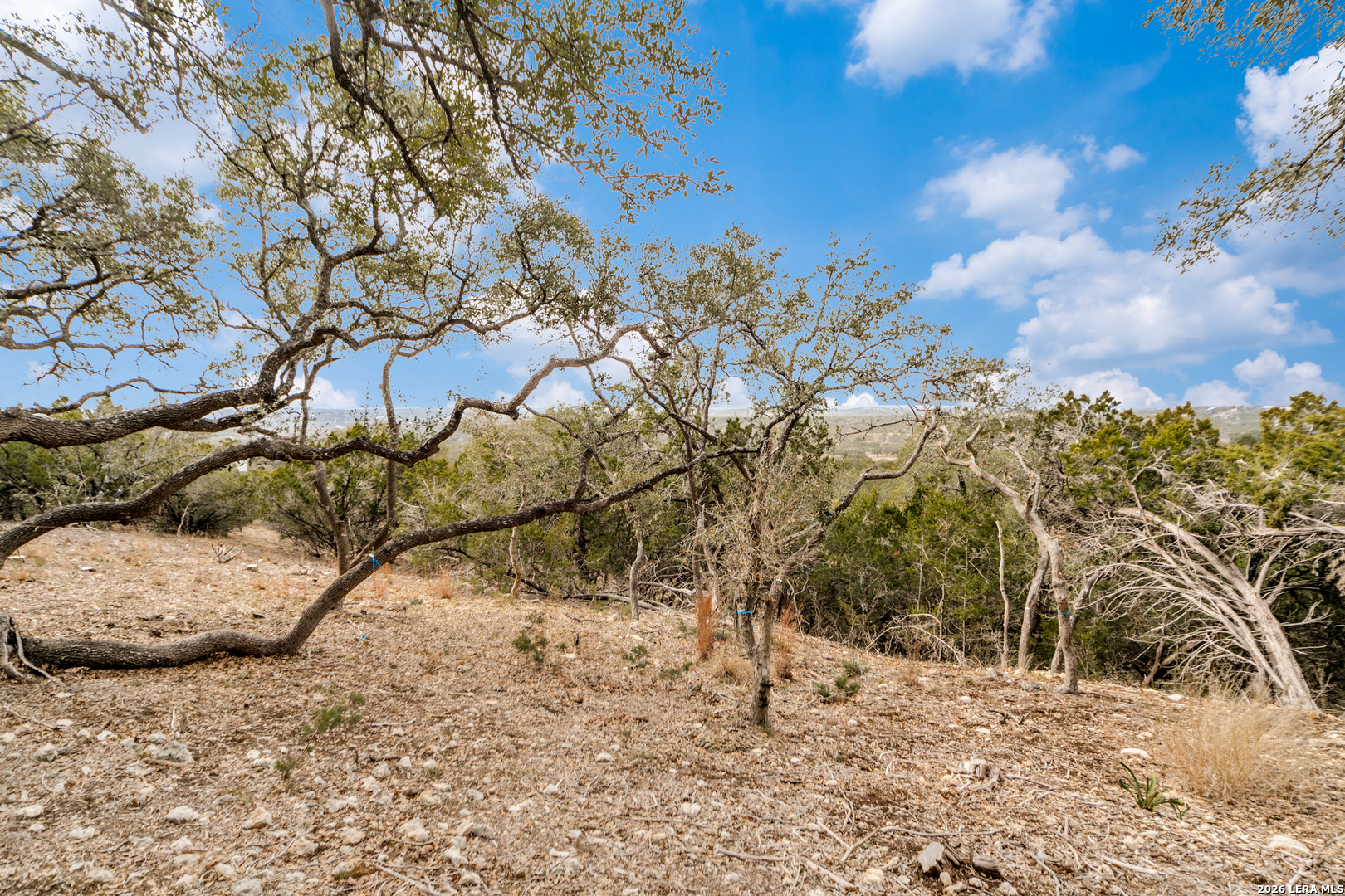 LOT 13 Cordillera Ridge, ,  78006 — photo 1