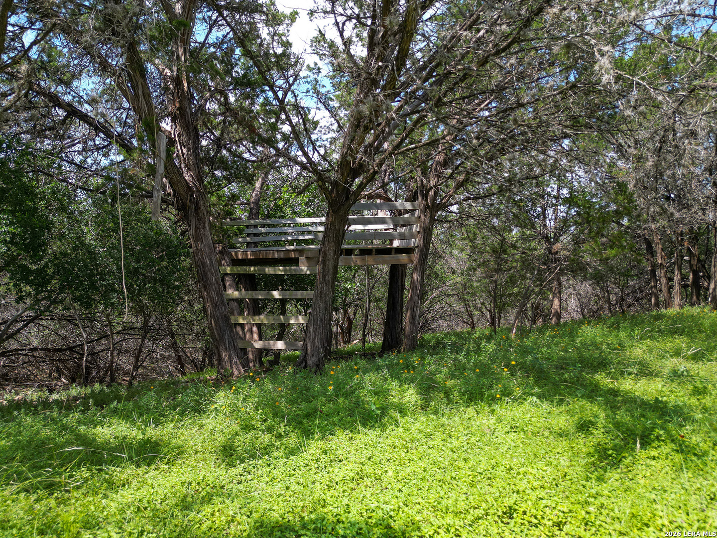 13132 STATE HIGHWAY 16 N, , 78055 — photo 1