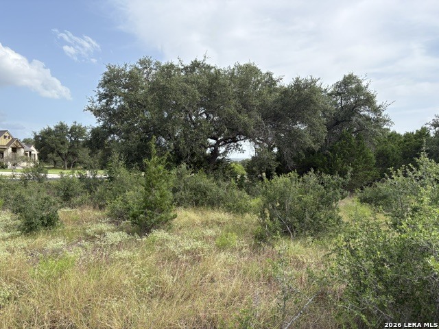 359 RIVER CLIFF PL, , 78070 — photo 1