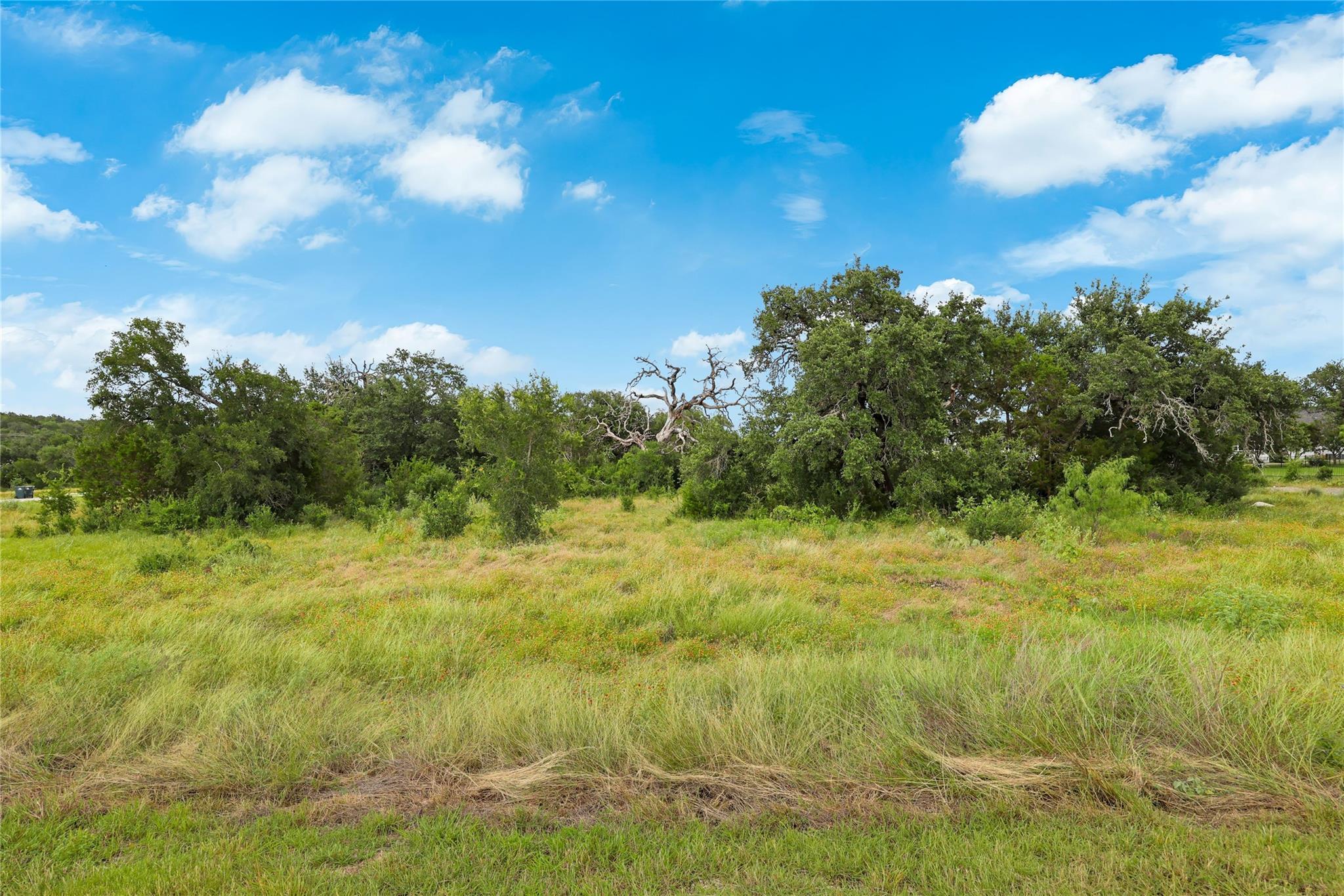 123 Williams, Spicewood, TX 78669 — photo 1
